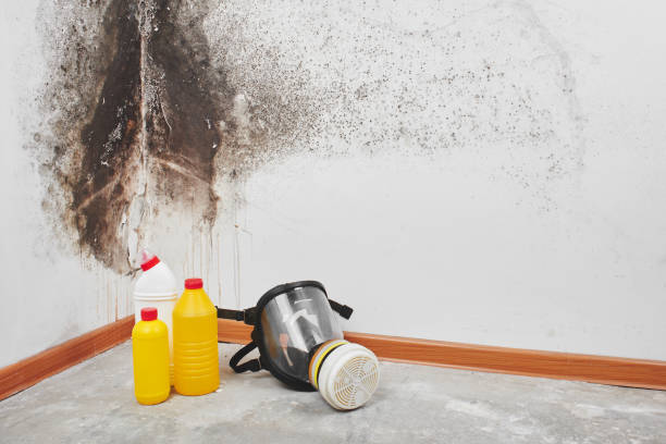 Best Mold Cleaning Services  in Brice Prairie, WI