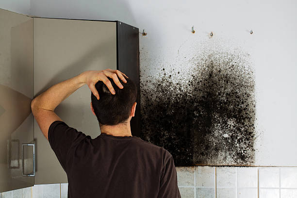 Best Certified Mold Removal  in Brice Prairie, WI